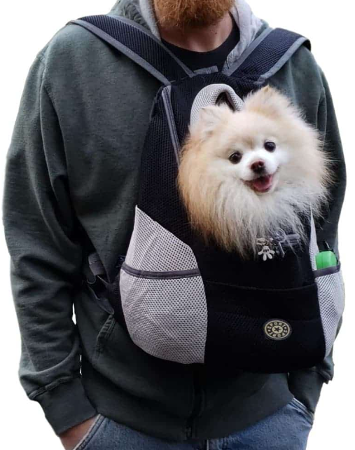 Mochila para mascotas